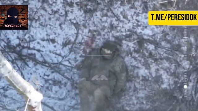 Сладкую парочку ВСУшников пришлось разлучить смотреть онлайн