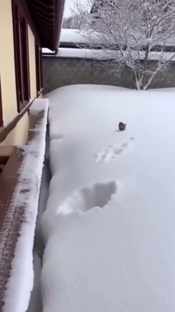 Прыжок в бездну смотреть онлайн