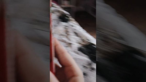 мы заперты.