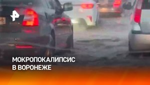 Запахло весной: по всей России — снегопады и мороз, а в Черноземье уже достают зонты