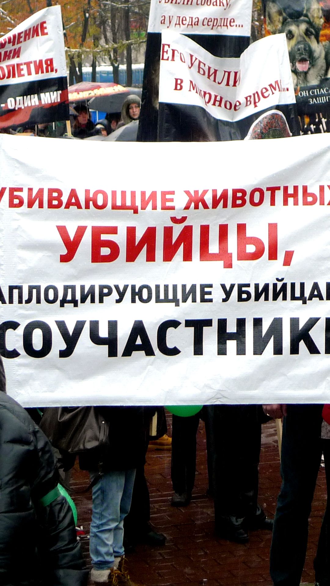 Что делать, если собака подобрала подозрительную еду или слизнула «розовый снег»? смотреть онлайн