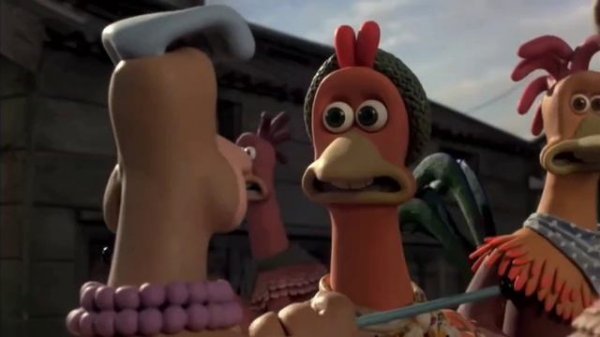 Побег из курятника....😁😁😁