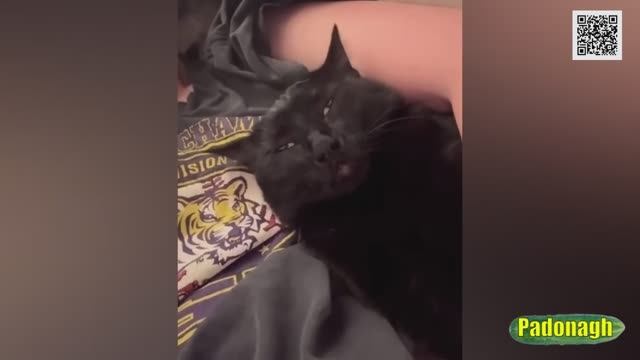 Прикольные кубики #1