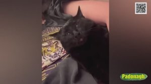 Прикольные кубики #1