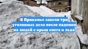 В Прикамье завели три дела после падения на людей с крыш снега и льда