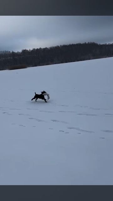 Тащи щуку, тащи!!. смотреть онлайн