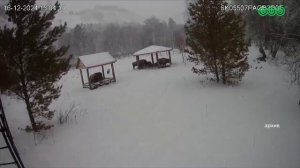 В Башкирию завезут еще 9 беловежских зубров