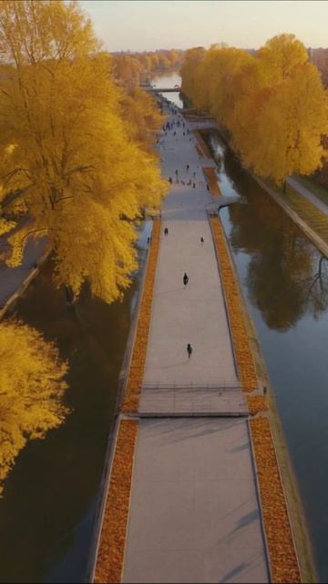 Золотая осень: прогулка у реки #осень #пейзаж #природа