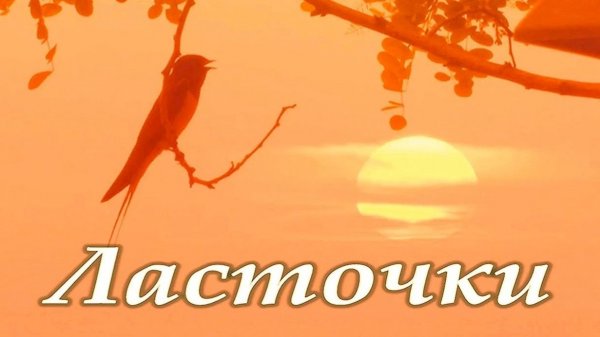 ЛАСТОЧКИ. Зайнеев. (Rem_2k)