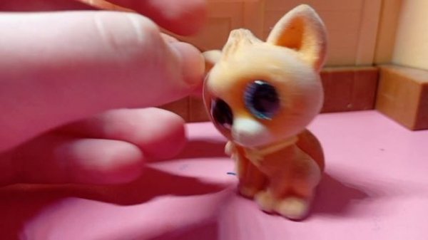 ВОПРОС-ОТВЕТ!!! ОТВЕЧАЕМ НА ВОПРОСЫ КАНАЛА “10 ЛАП"!