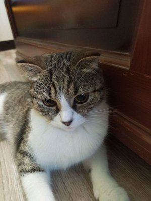 норм я делаю уроки