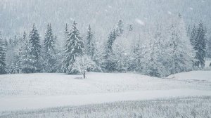 Народные приметы на 17 февраля: что можно и нельзя делать