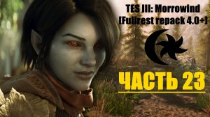 TES III: Morrowind [Fullrest repack 4.0+]📜23.  Хамелеон