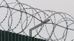 Закупка унитазов