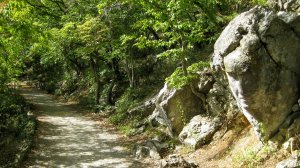 Крым. Солнечная тропа от Гаспры до Ялты 'Царская тропа' в Ливадии.