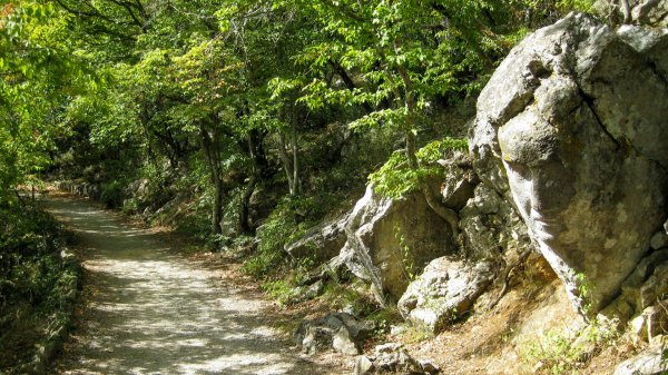 Крым. Солнечная тропа от Гаспры до Ялты 'Царская тропа' в Ливадии.