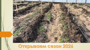 Сезон садово-клубничных работ 2026 года считаю открытым!!!