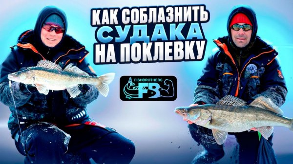 Ловля рыбинского судака на вибы! Отличная рыбалка на Рыбинке!