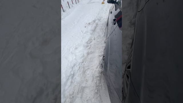 video-output-17EC7E0E-6078-4C0B-9B07-6AFB9E0B170A-1 смотреть онлайн