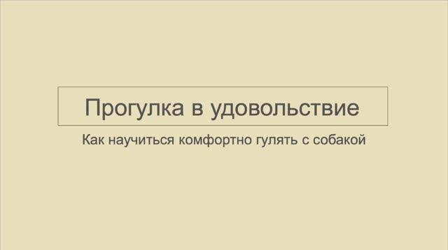 Прогулка в удовольствие. Как научиться комфортно гулять с собакой смотреть онлайн