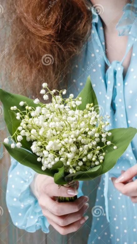 Забытые ландыши смотреть онлайн