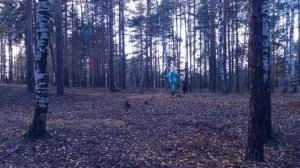 выживание в лесу ЧАСТЬ 41