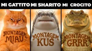 СРАВНИВАЕМ МЕМЫ МОНТАГЕМ МЯУ И ДРУГИЕ ЖИВОТНЫЕ! И ВООБЩЕ ТУТ РАЗНОЕ ВСЯКОЕ ВОТ РЕАКЦИЯ