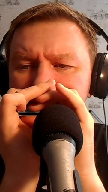 Can't Help Falling In Love - Elvis Presley - на губной гармошке