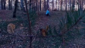выживание в лесу ЧАСТЬ 31