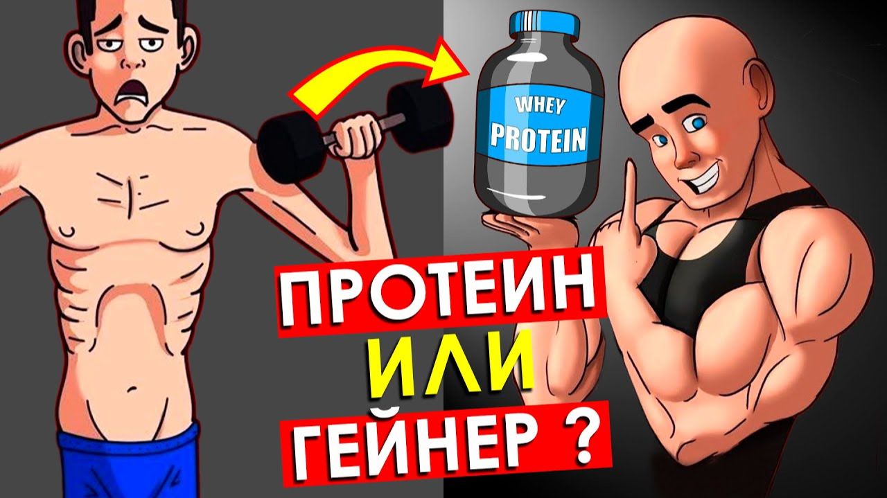 ПРОТЕИН или ГЕЙНЕР? Как Правильно Принимать и Что Лучше Выбрать для Набора Мышечной Массы Худому смотреть онлайн