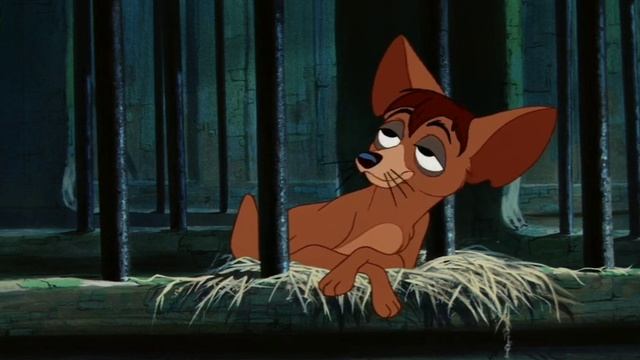 Приключение 2 Бродяги и Леди