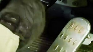 Дальнобойщики (КАМАЗ давит Волгу)