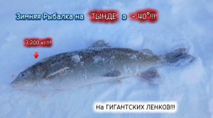 Клëвая Зимняя Рыбалка на ТЫНДЕ в-40°!!! Огромные Ленки Взбесились и Сломали Удочку!! Третья серия!!!
