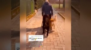 Видео от МЭН - Мне Это Нравится