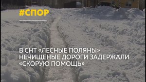 В СНТ "Лесные поляны" спор о расчистке дорог едва не стоил пенсионерке жизни