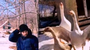 ДУШЕВНОСТЬ ДЕРЕВЕНСКОЙ ЖИЗНИ