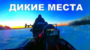 Пробились в глушь! Нашли озеро, где рыба не боится людей. Рыбалка в Карелии 2026