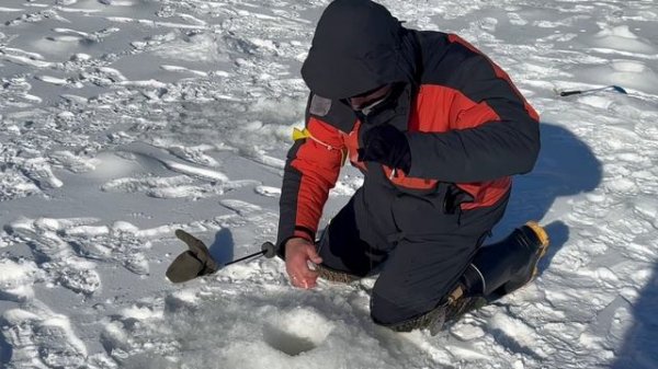 Желтый сыр.СЗ