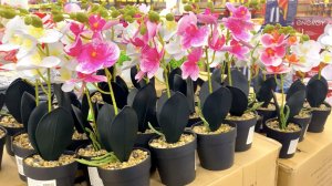 ФИКС ПРАЙС И СВЕТОФОР НОВИНКИ ГОДА! СТОЛЬКО ВСЕГО НУЖНОГО. ЦЕНЫ РАСТУТ МАЯК И FIX PRICE НОВИНКИ