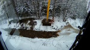 Бобр вылез из хатки искать плотину