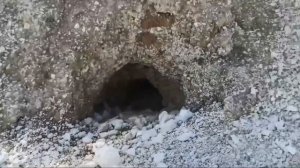 Святое Белогорье 2025 лето