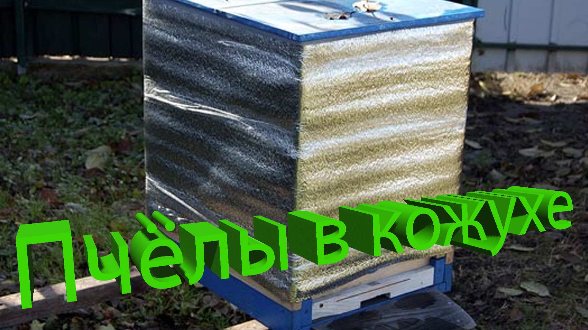 Зимовка в кожухе: Опыт профессора Кашковского смотреть онлайн