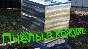 Зимовка в кожухе: Опыт профессора Кашковского