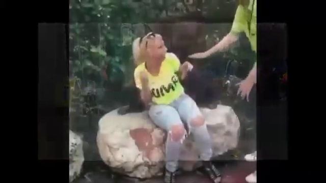 Ромашка белая