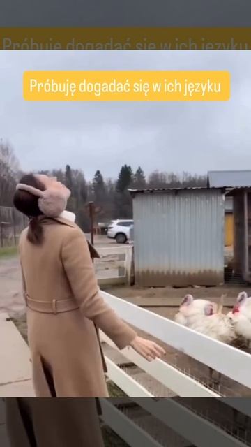 Не дразни индюка! 🦃
