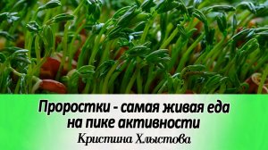 🌱Добавь их в свой рацион! Проростки сильнее чем растения | Кристина Хлыстова