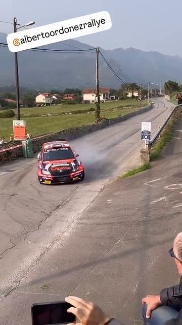 Шкода в Ралли