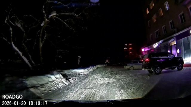 petal_20260217_132336.mp4