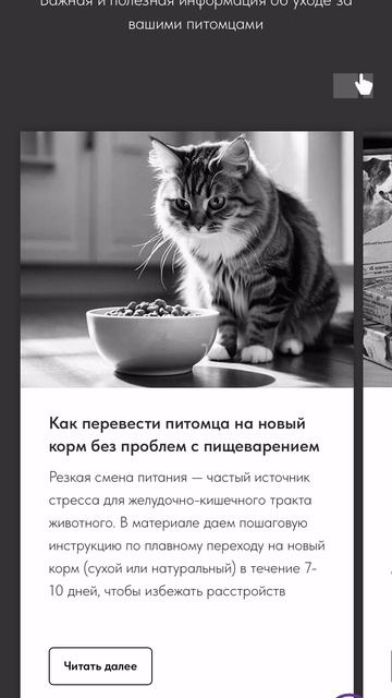 Сайт «Зоомагазин»