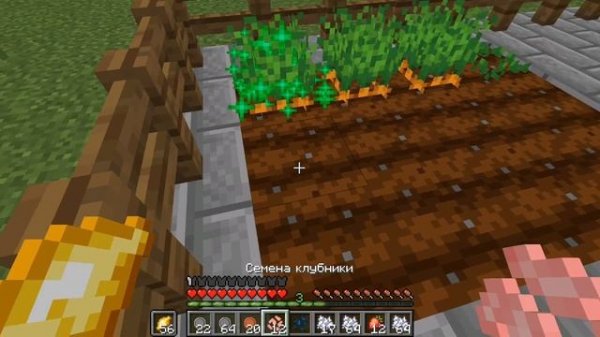 Играю в Grow a garden в майнкрафт.
